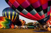 Albany hot air balloons